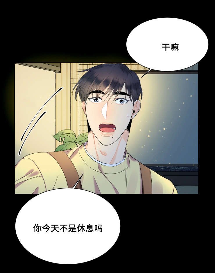 第46章：相恋如初（完结撒花）