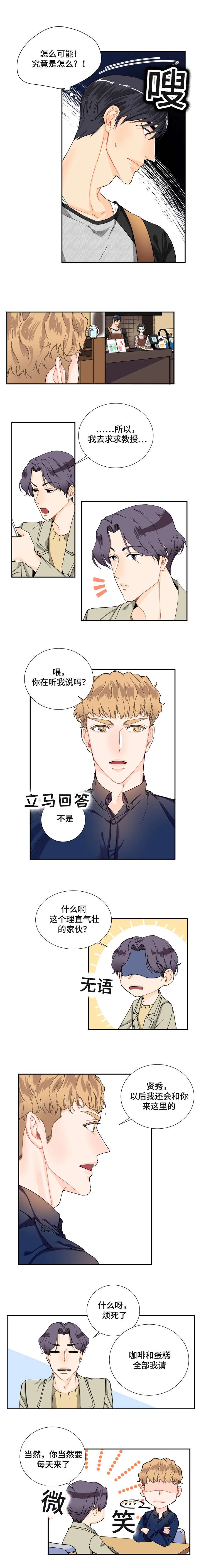 第5章：咨询