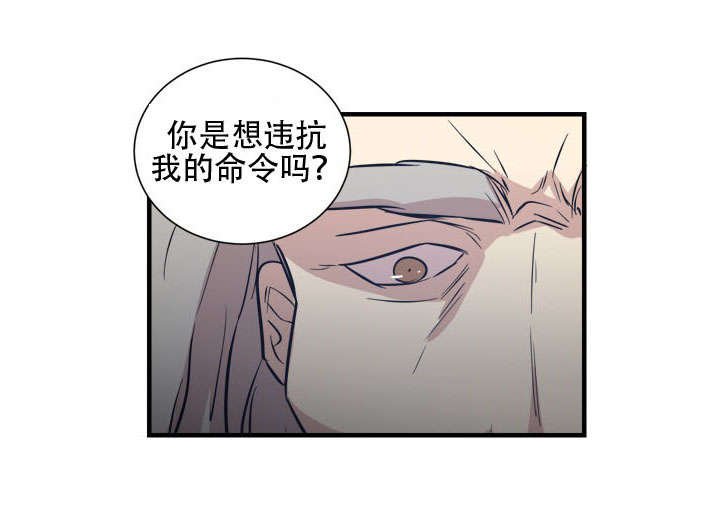 第15章：王的命令