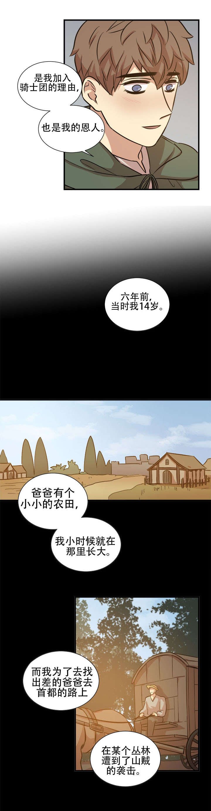 第20章：骑士团
