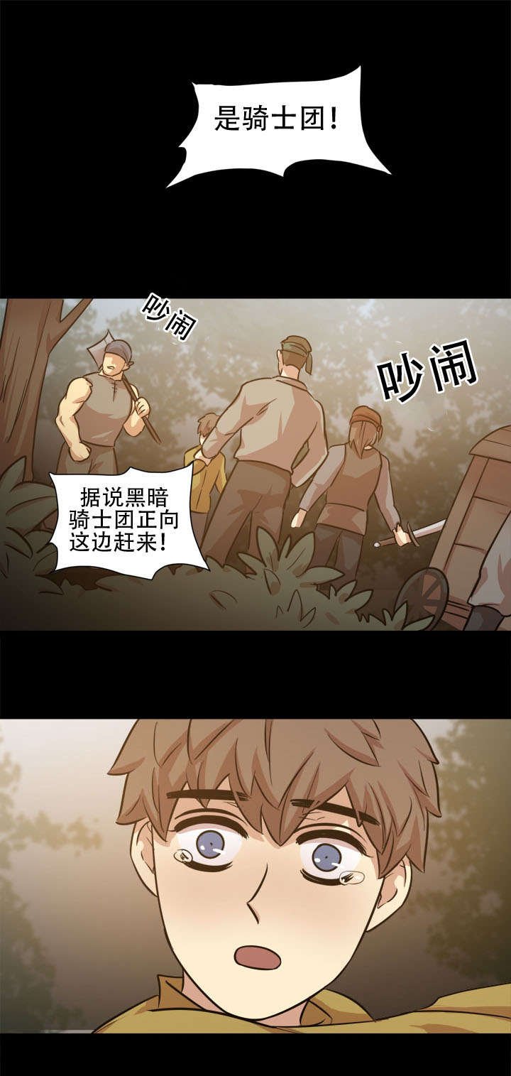 第20章：骑士团
