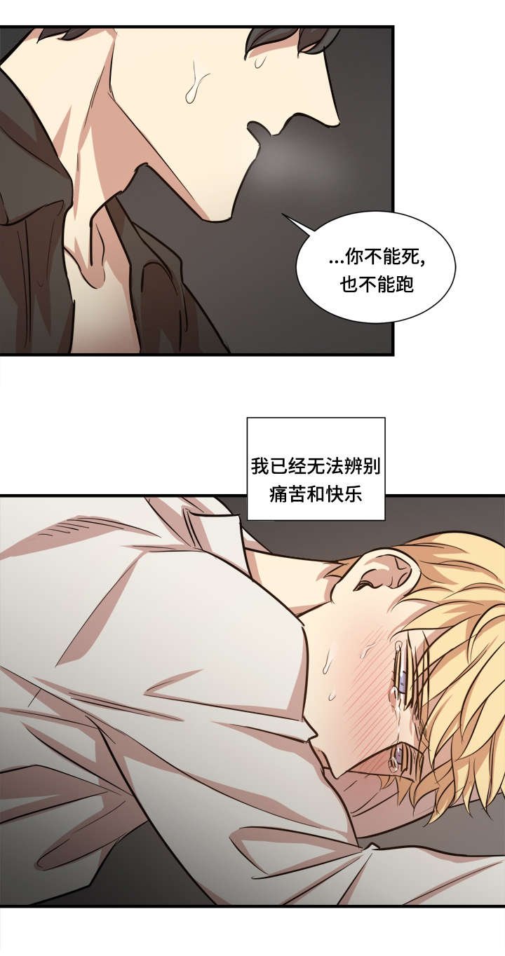 第38章：时机到了