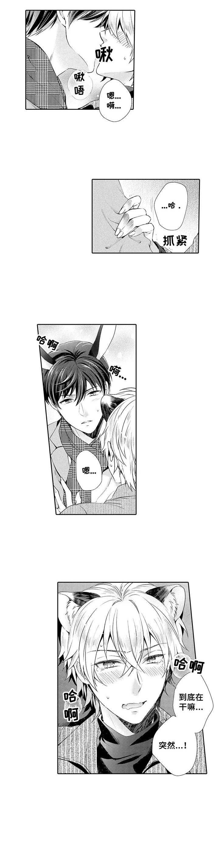 第11章：痕迹