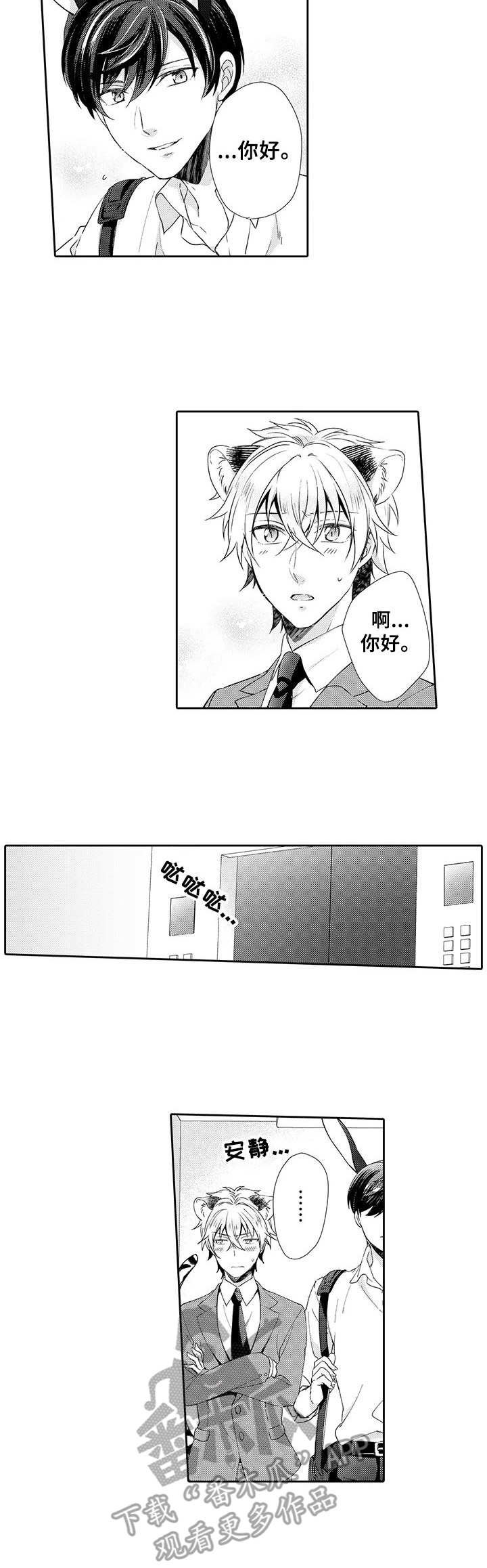第13章：误解