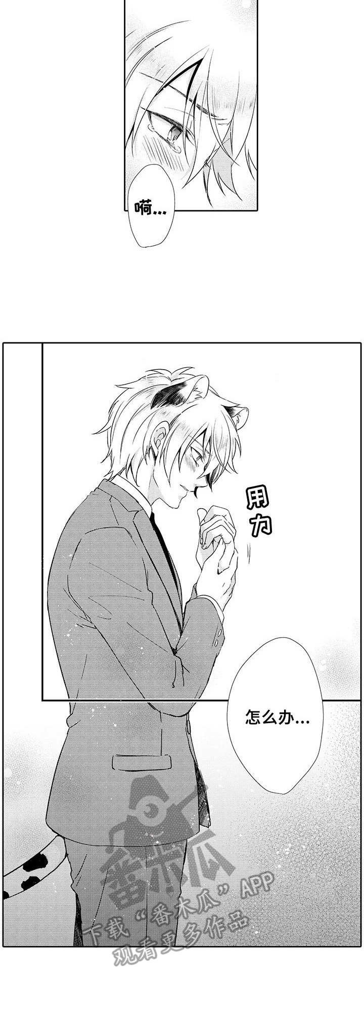 第13章：误解