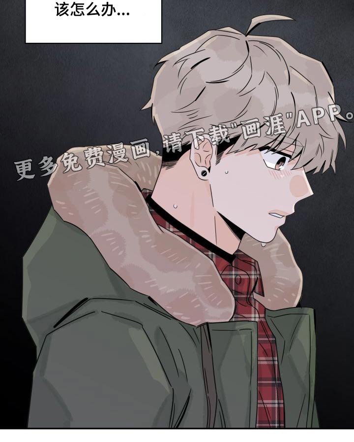 第120章：【第三季】忙碌