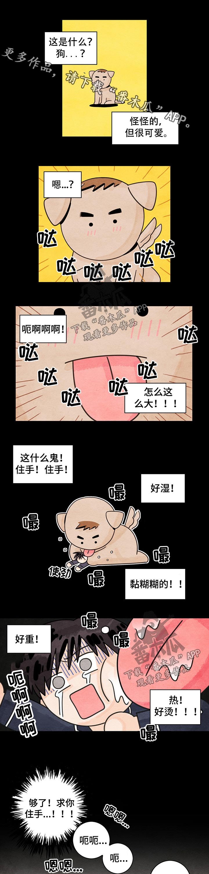 第39章：【番外】玩具