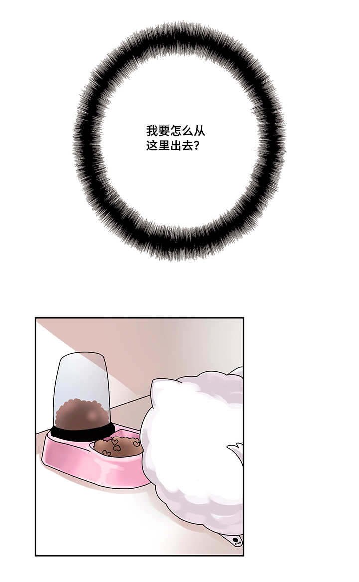 第16章：我该怎么离开