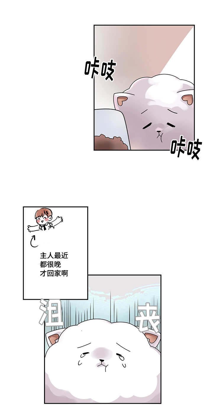 第16章：我该怎么离开