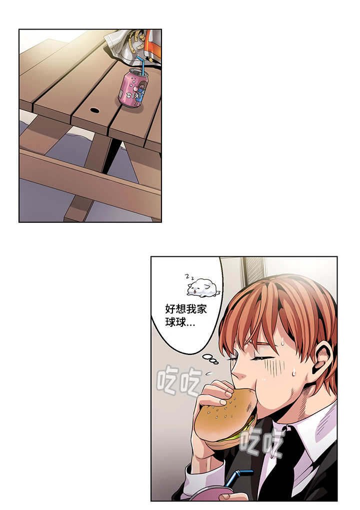 第20章：疲惫不堪