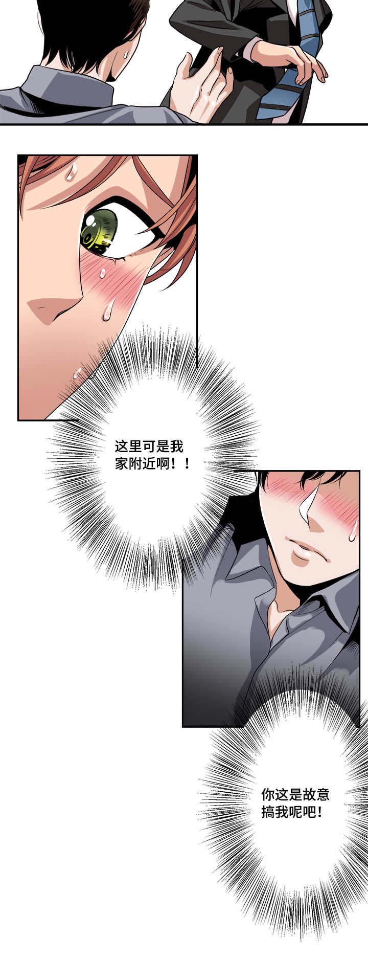 第28章：试探