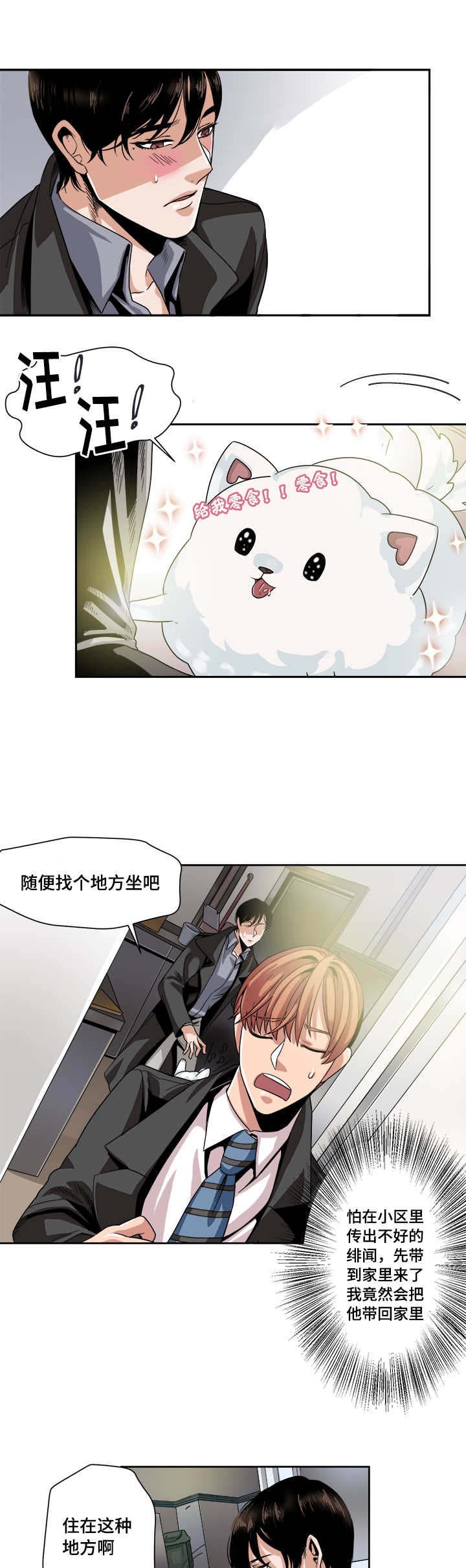 第28章：试探