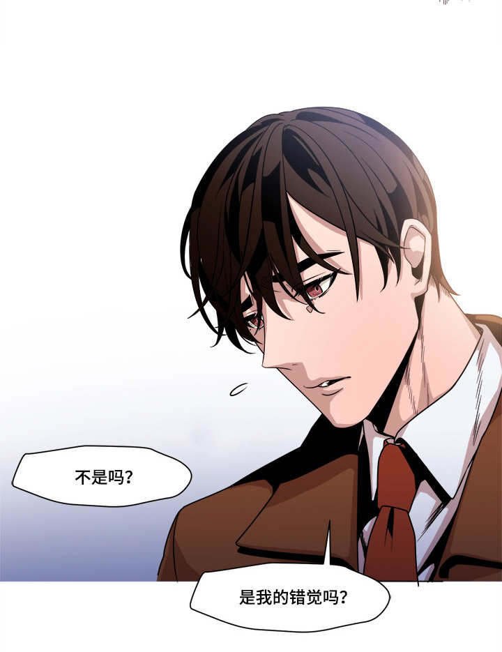 第42章：错觉吗