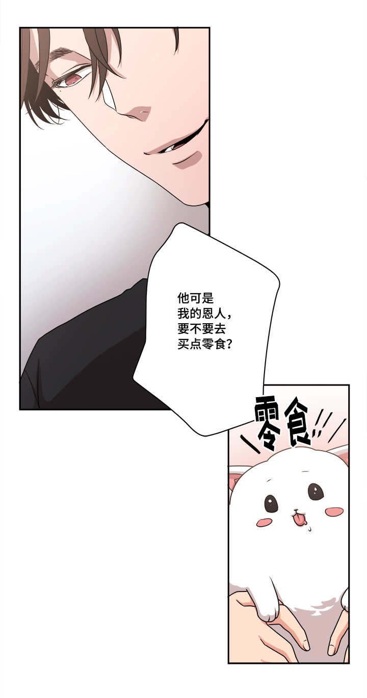 第45章：球球的助攻(完结撒花)