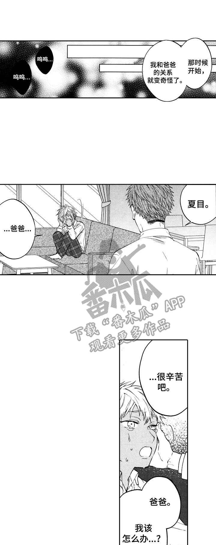 第15章：替代品
