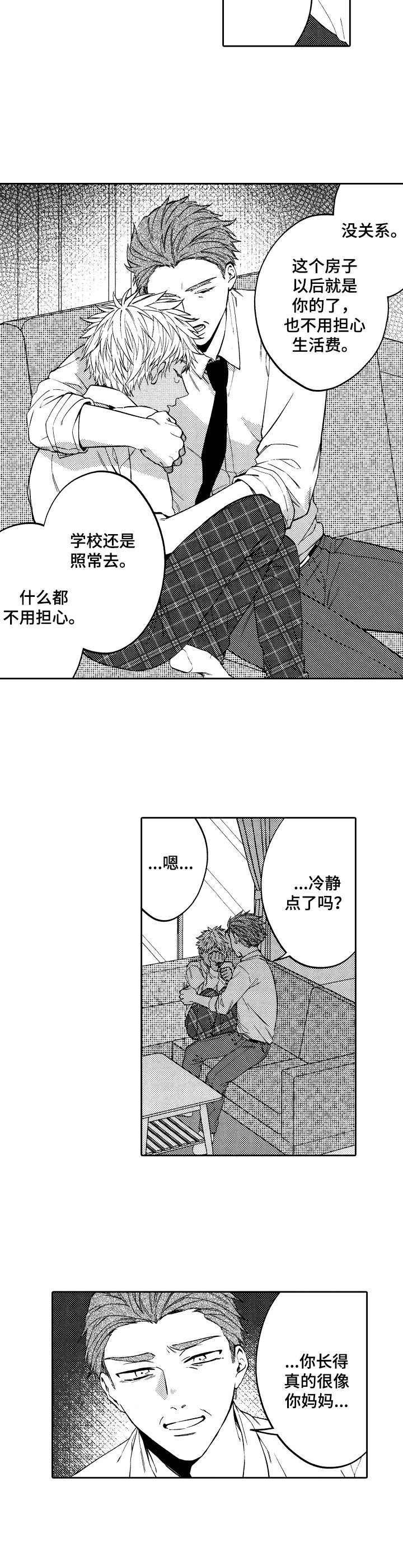 第15章：替代品