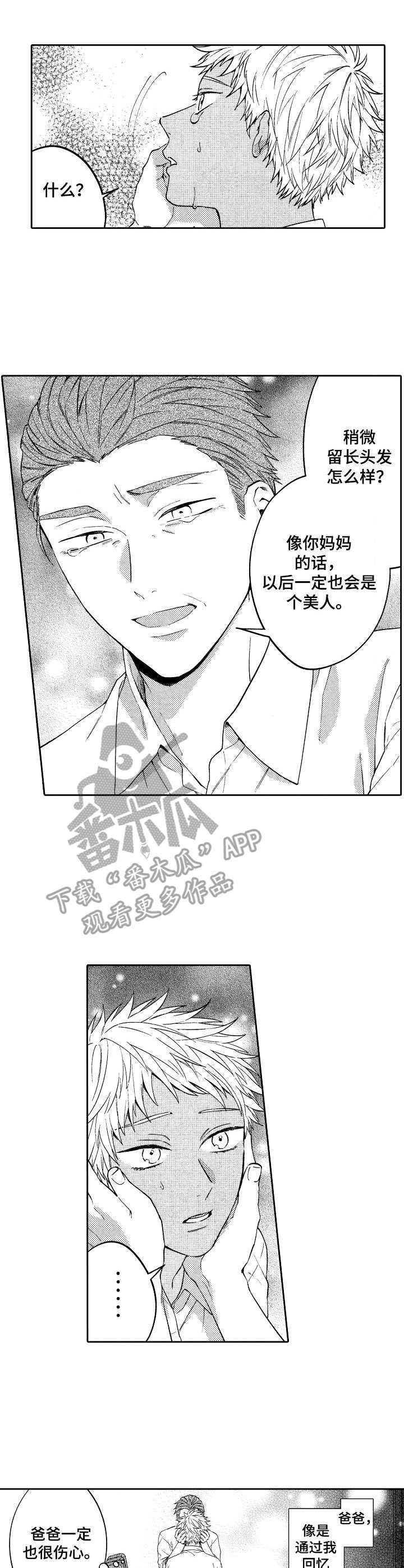 第15章：替代品