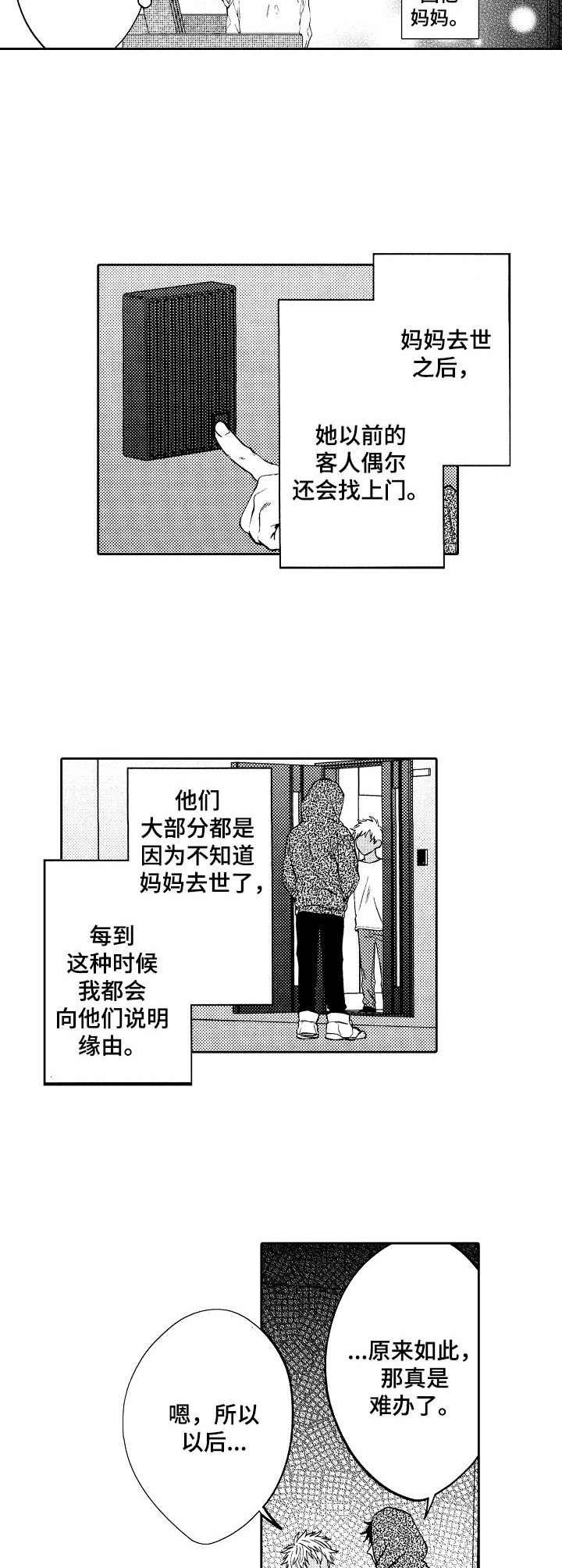 第15章：替代品