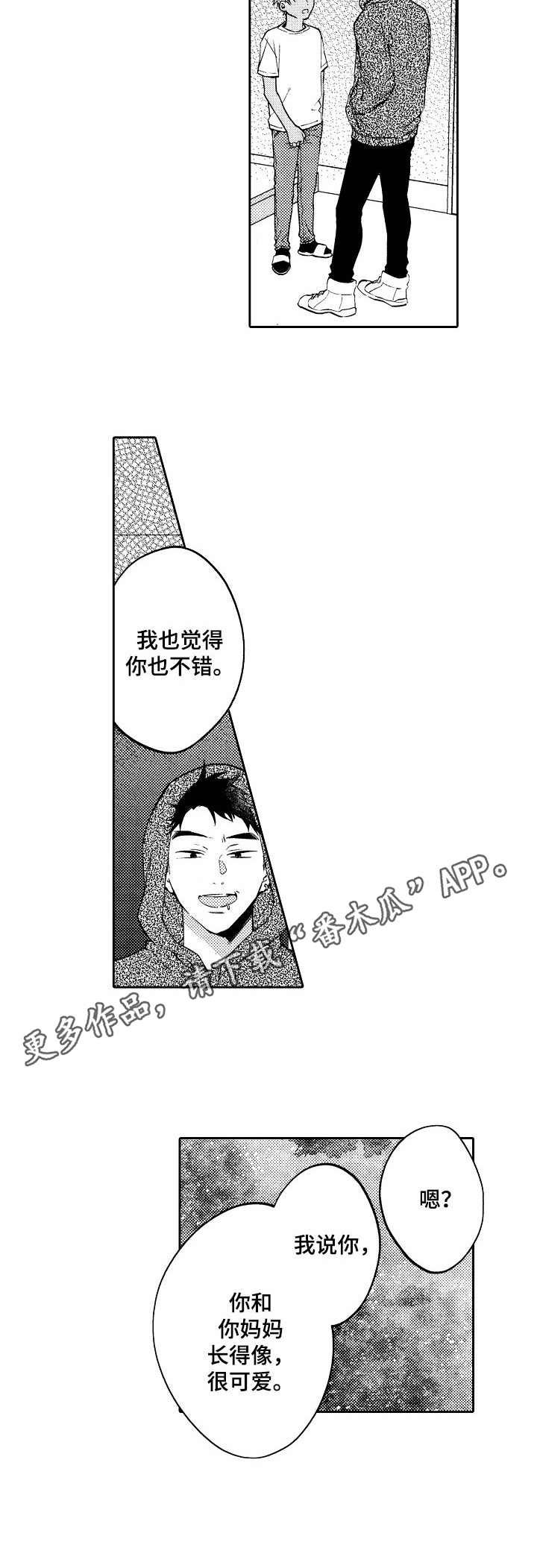 第15章：替代品