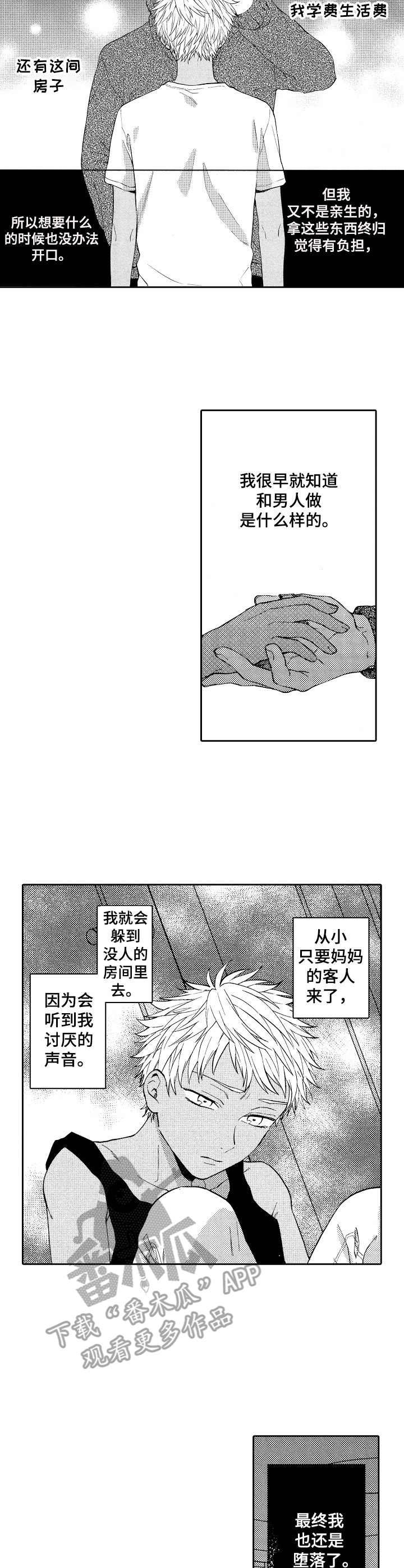 第15章：替代品