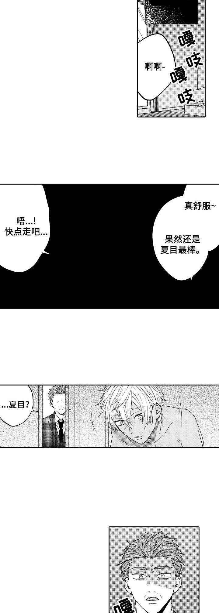 第15章：替代品