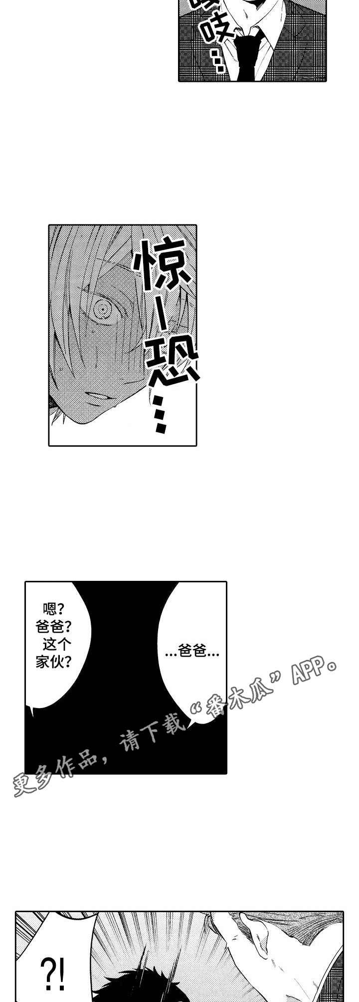 第15章：替代品