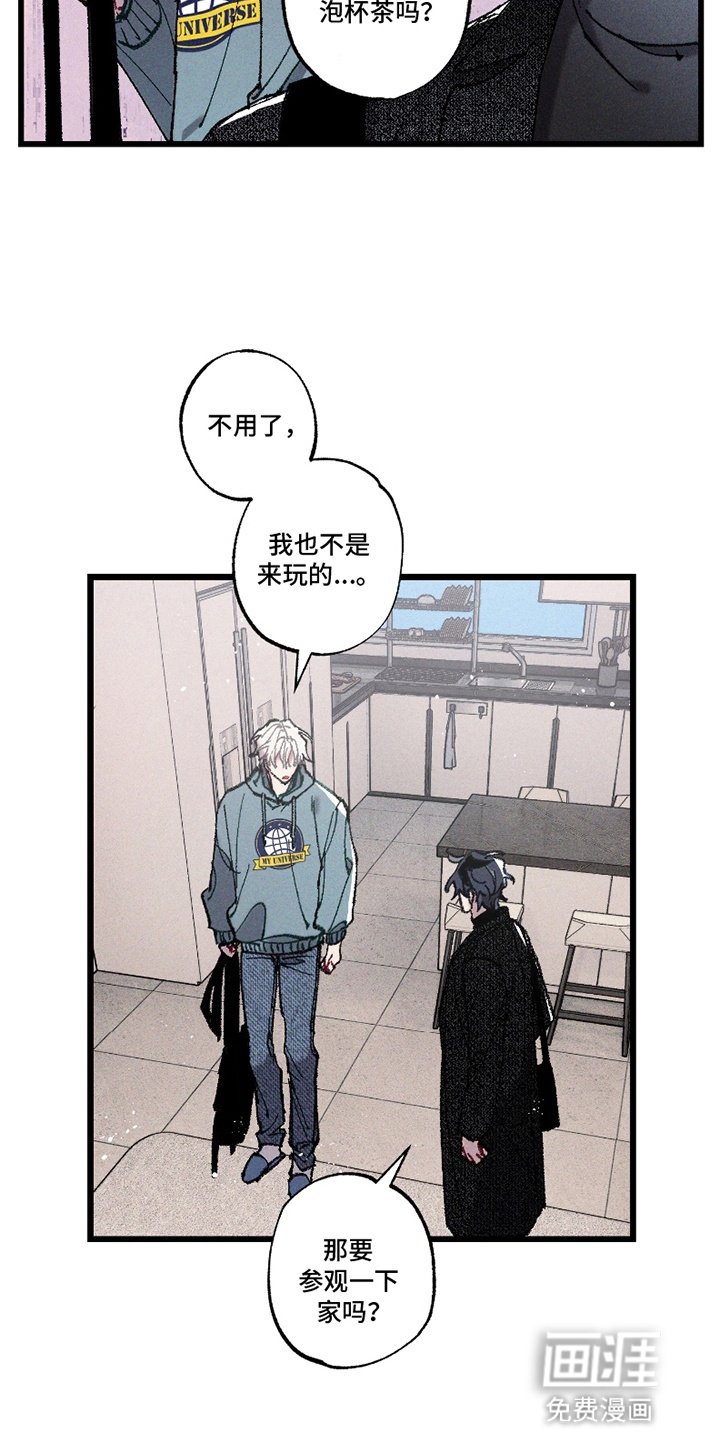 第13章：开始吧