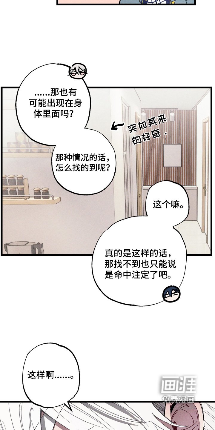 第14章：给你看