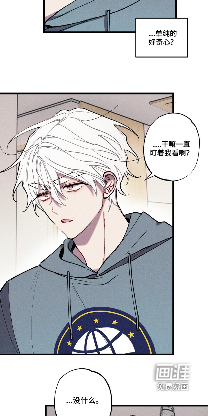 第21章：只是好奇