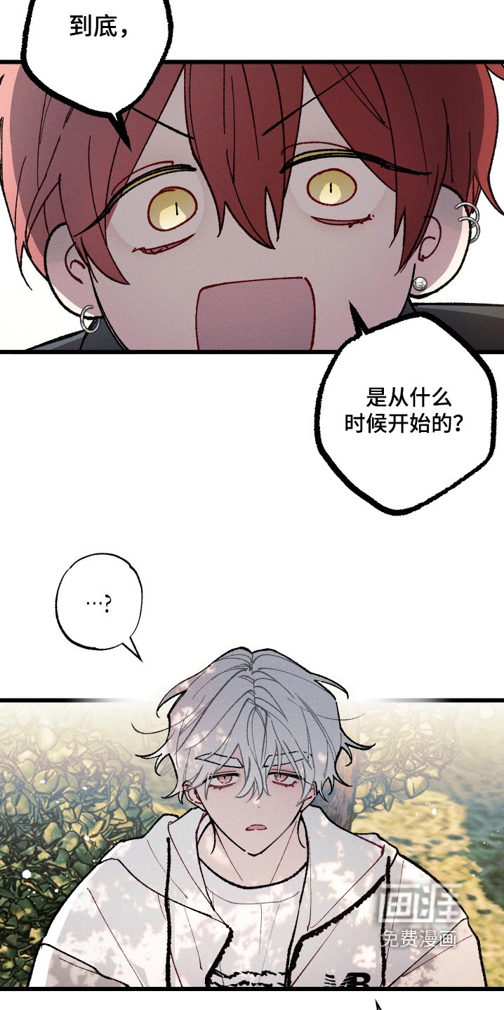 第22章：你相信嘛