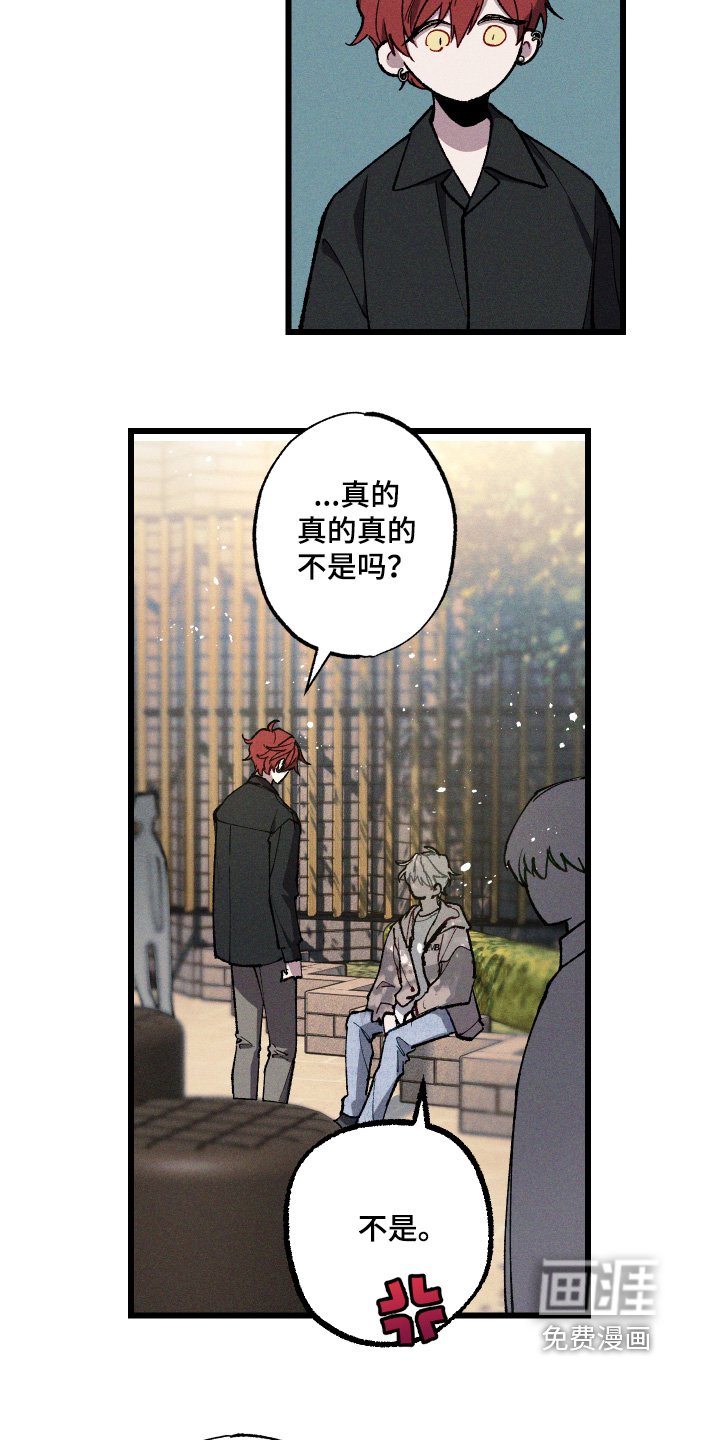 第22章：你相信嘛
