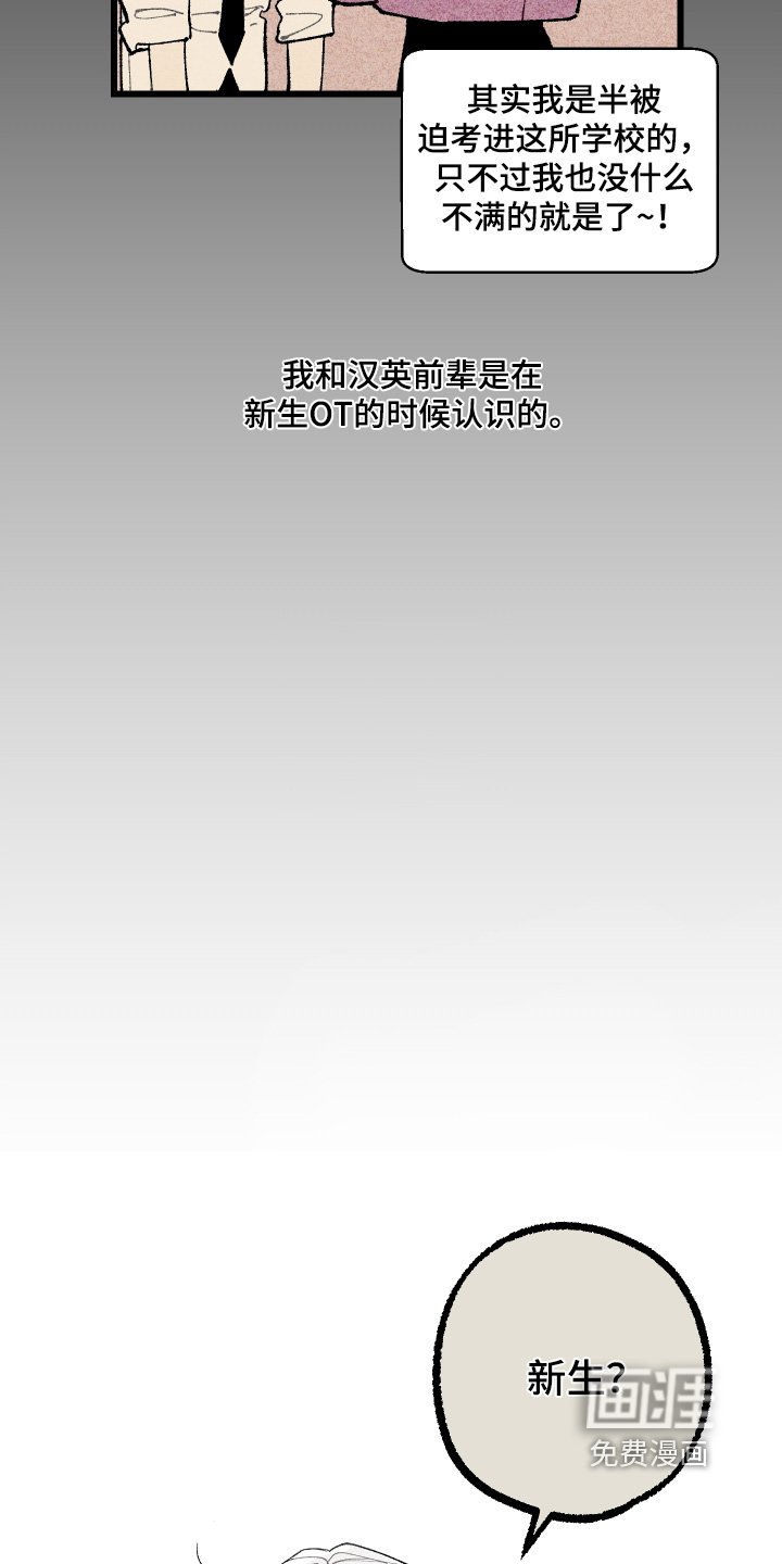 第26章：印象