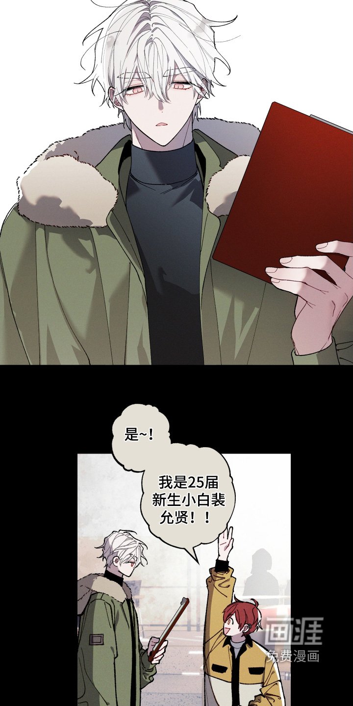 第26章：印象