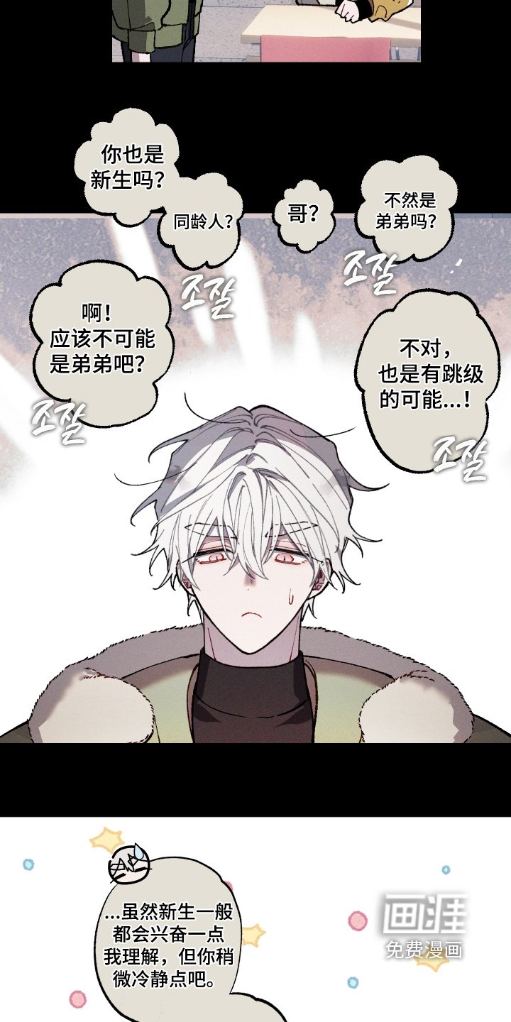 第26章：印象