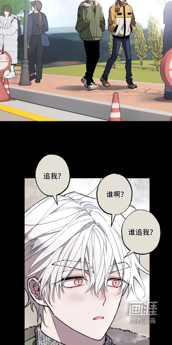 第26章：印象