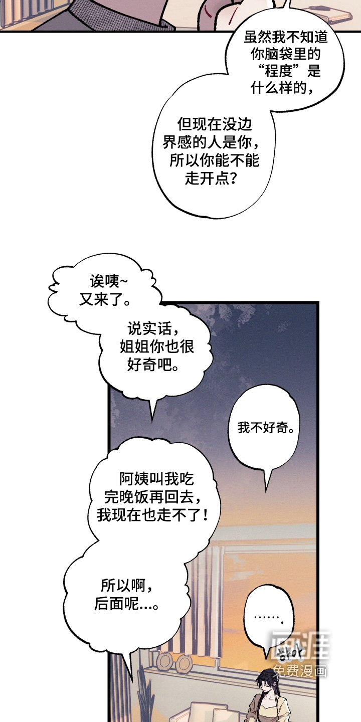 第26章：印象