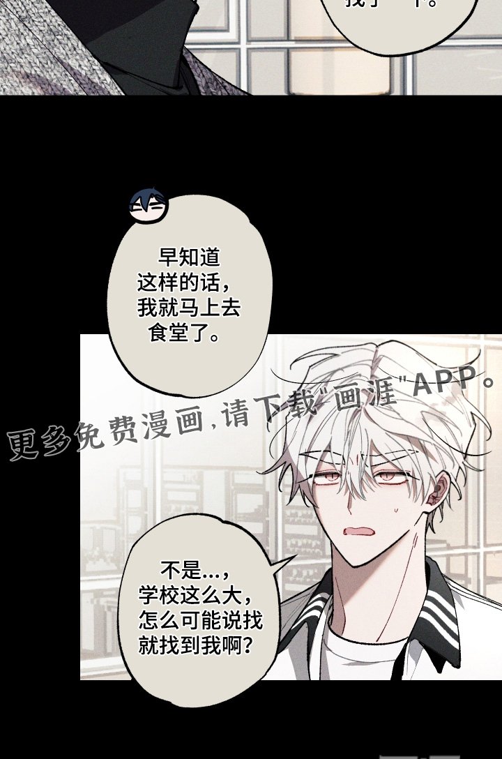 第26章：印象