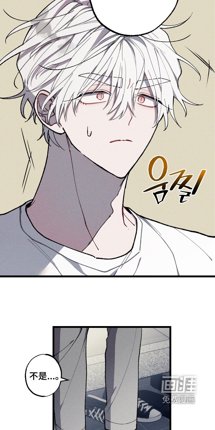第40章：胡说什么