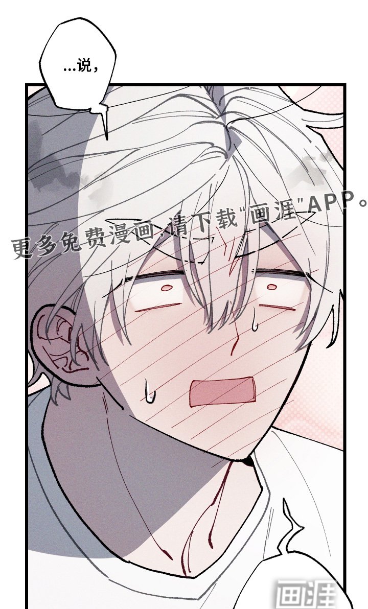 第41章：不需要这样