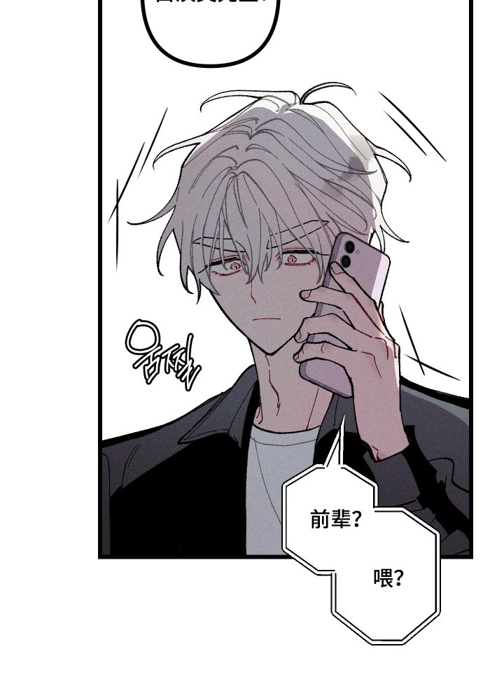 第44章：找到他了吗