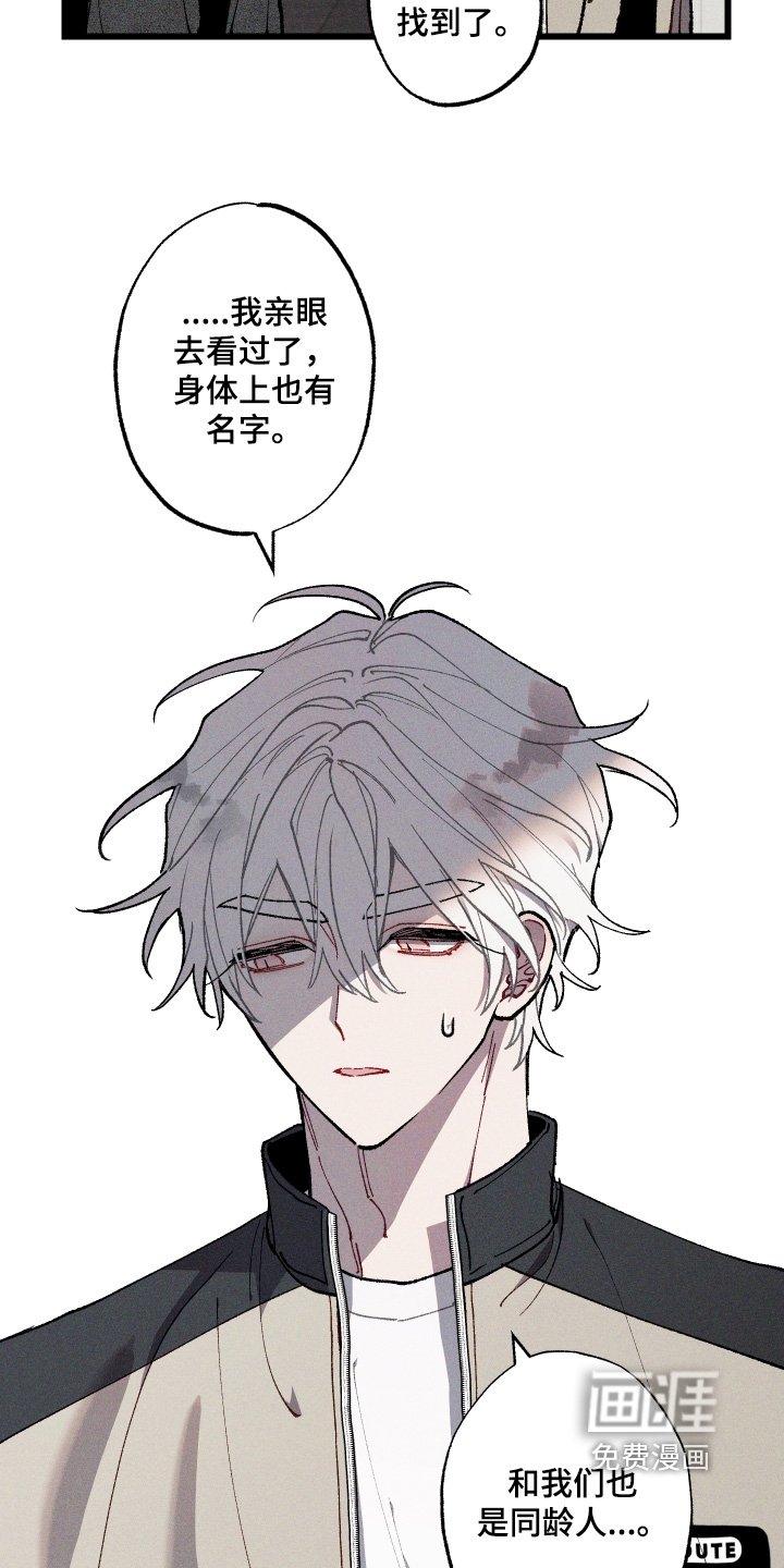 第45章：照片