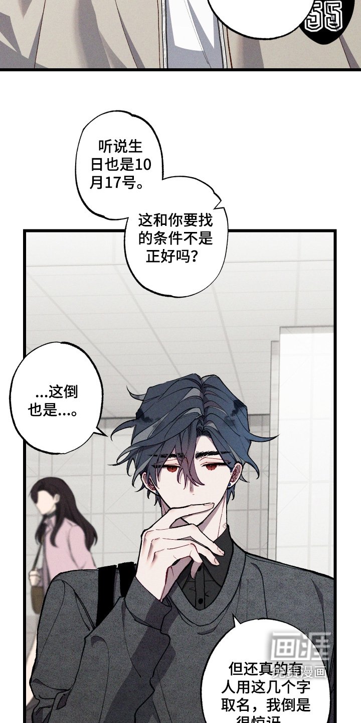 第45章：照片