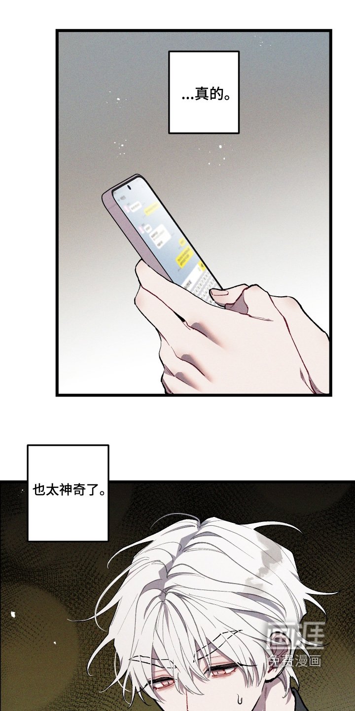 第45章：照片