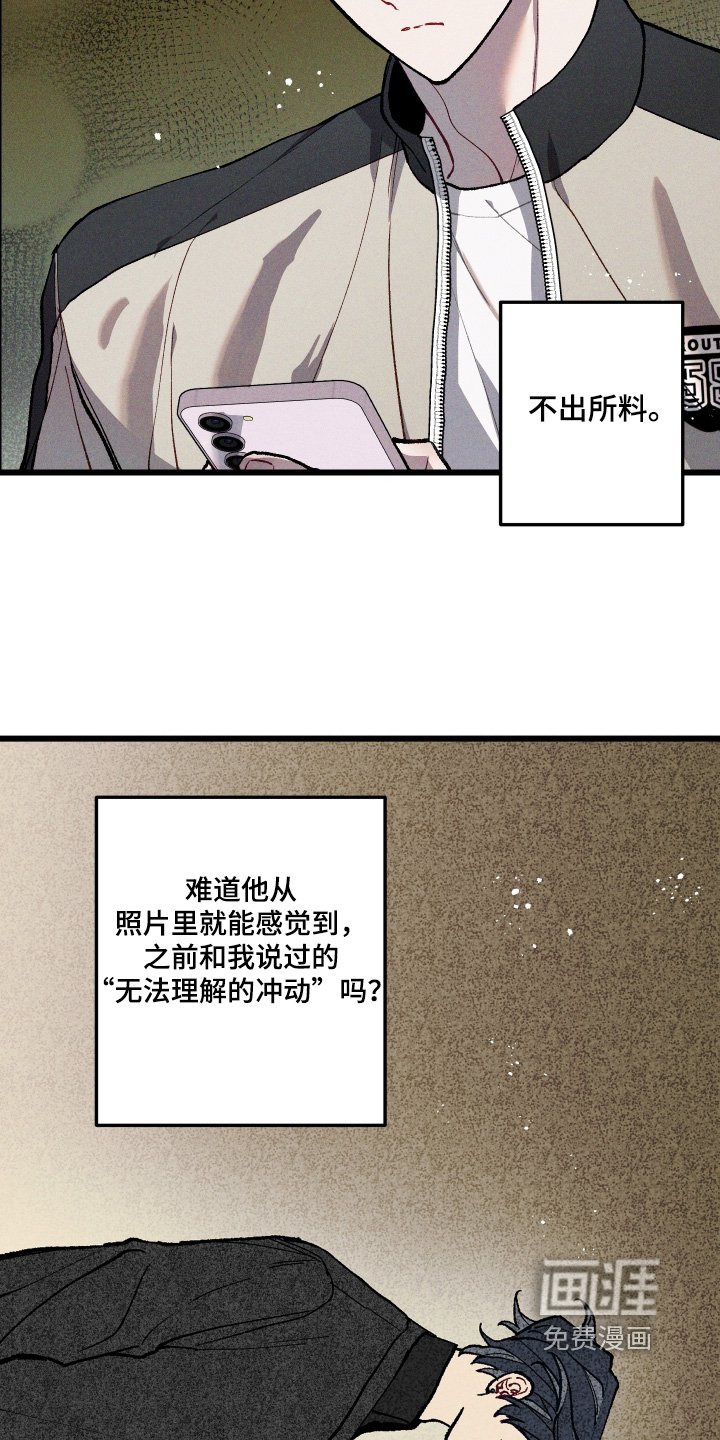 第45章：照片