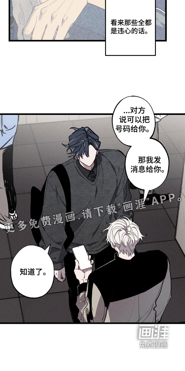 第45章：照片