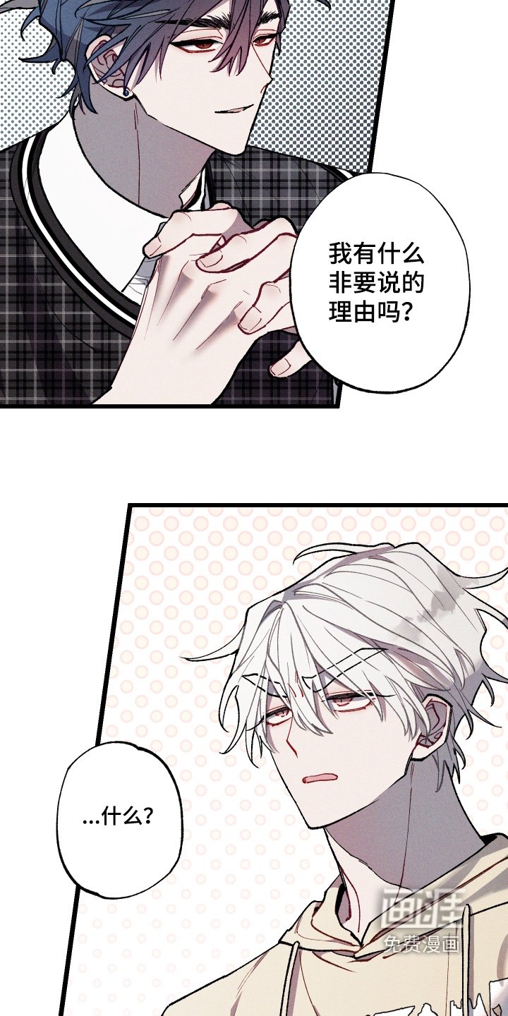 第48章：找到了
