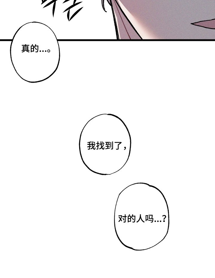 第48章：找到了