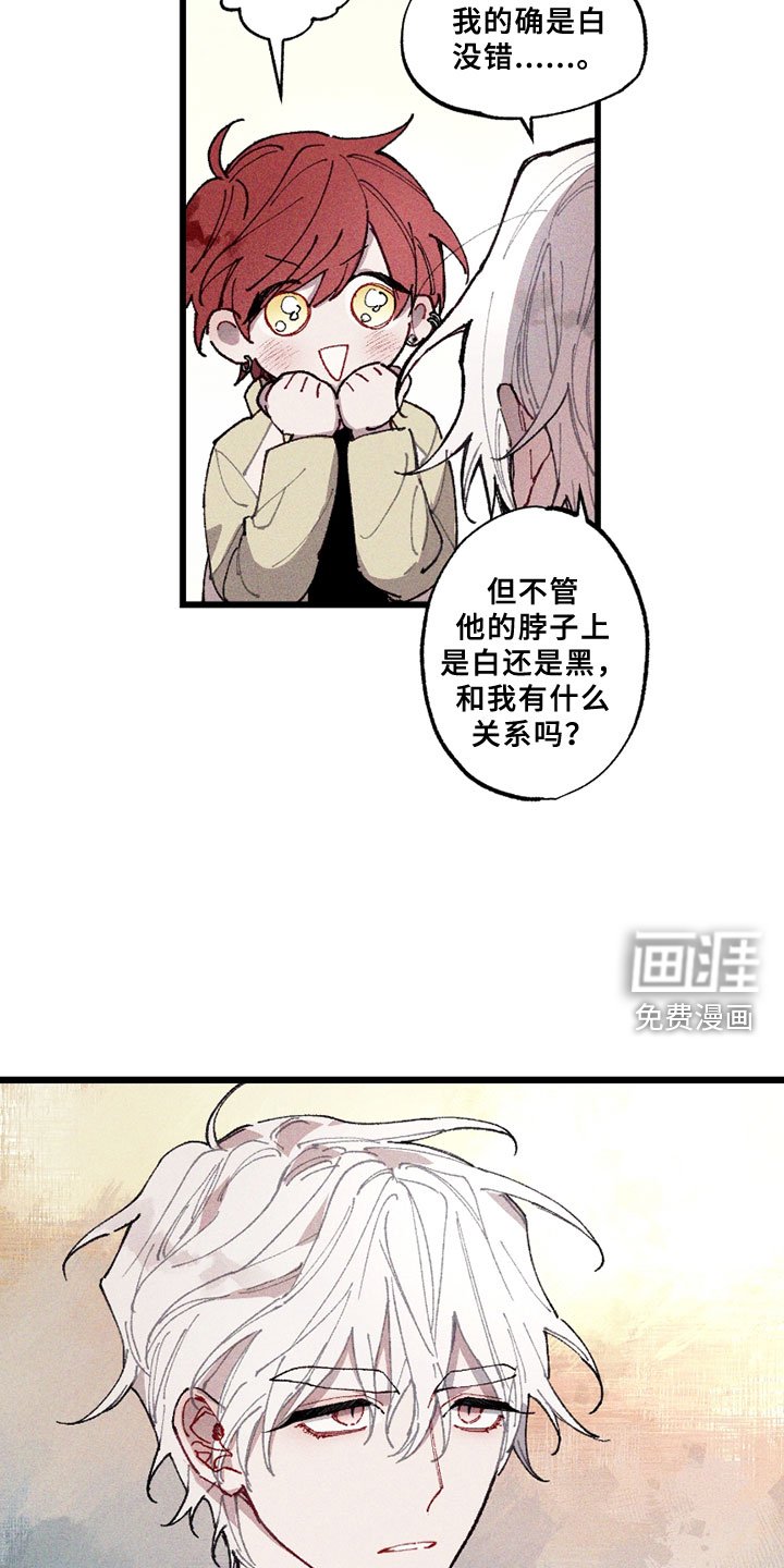 第5章：注视