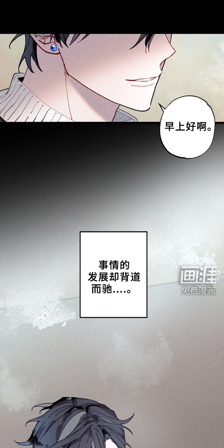 第5章：注视