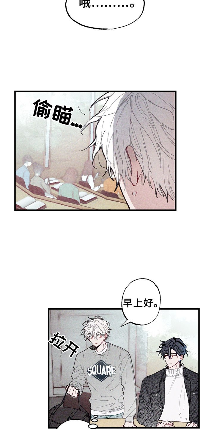 第5章：注视